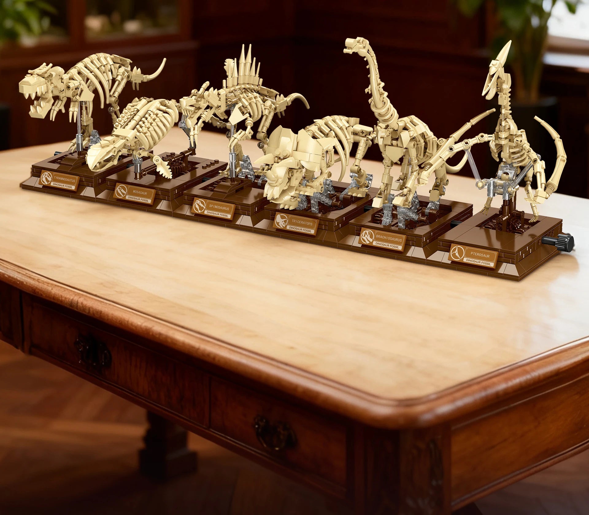 Pterosaur Fossil Building Blocks