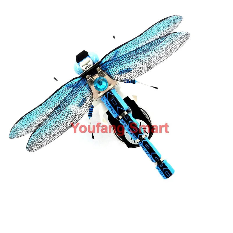 Robotic Insects STEM Kit