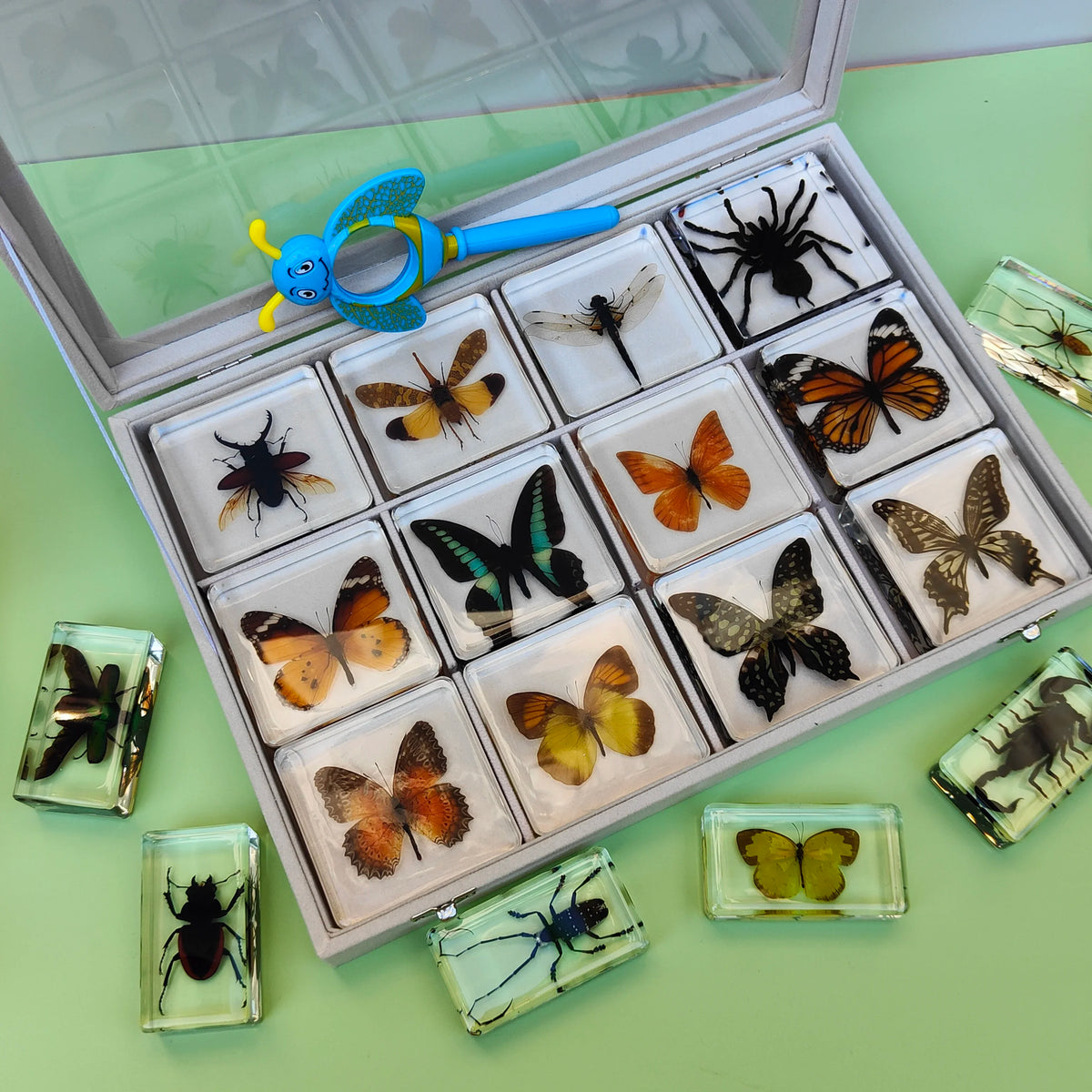 29 New Real Insect Specimen Resin Scarab Spider Specimen Beetle Flower Marine Plant Teaching Kids Gift Box Room Home Decoration