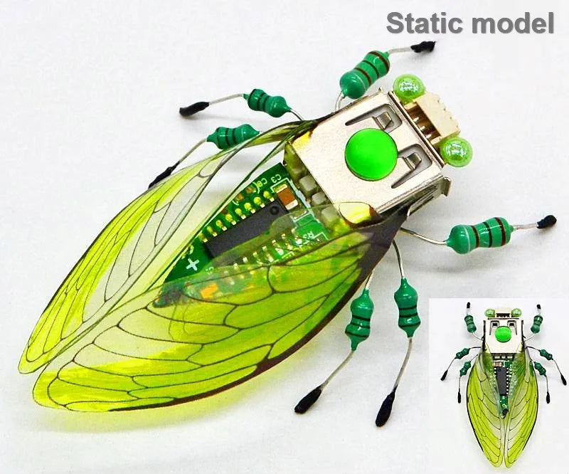 Robotic Insects STEM Kit