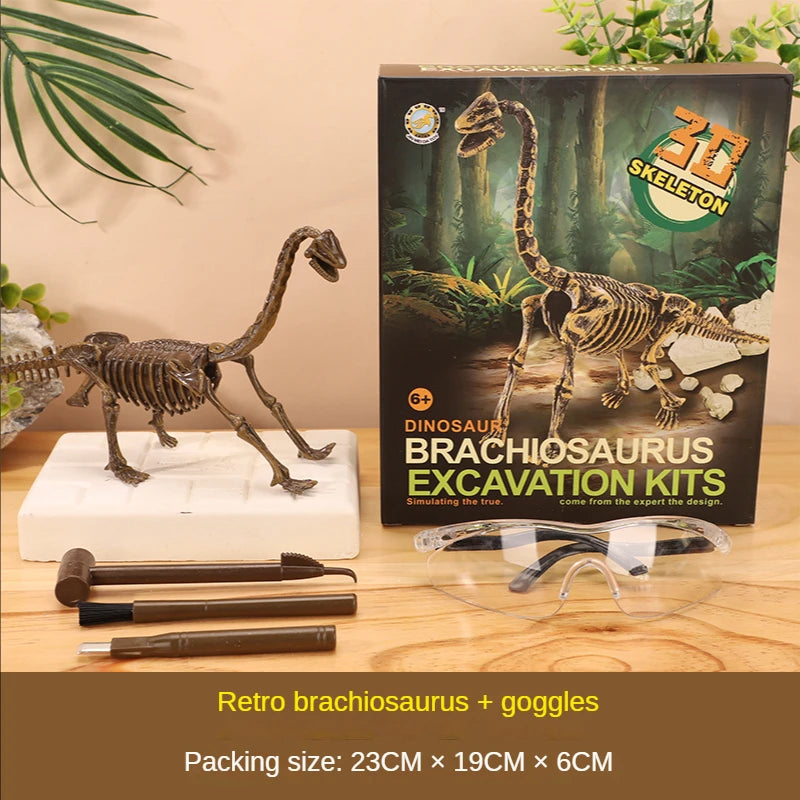 Dinosaur Fossil Excavation Kit