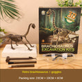 Dinosaur Fossil Excavation Kit