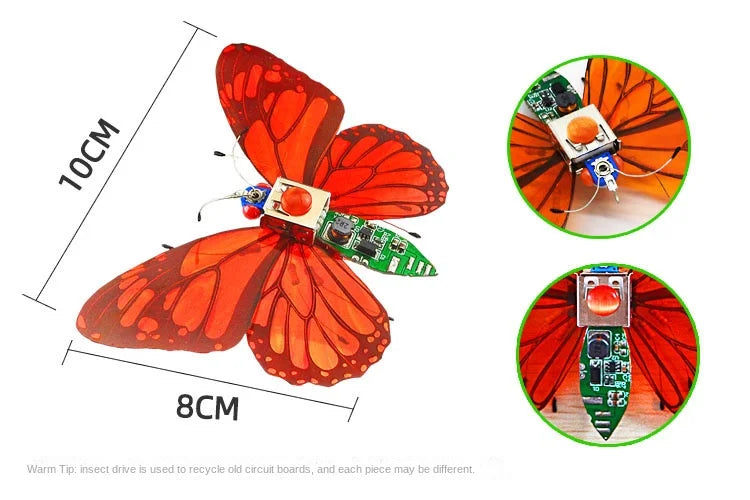 Robotic Insects STEM Kit