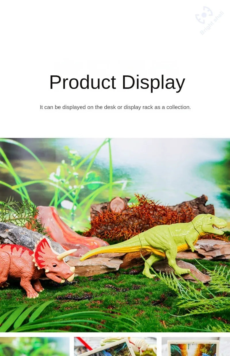 Dinosaur Fossil Excavation Kit