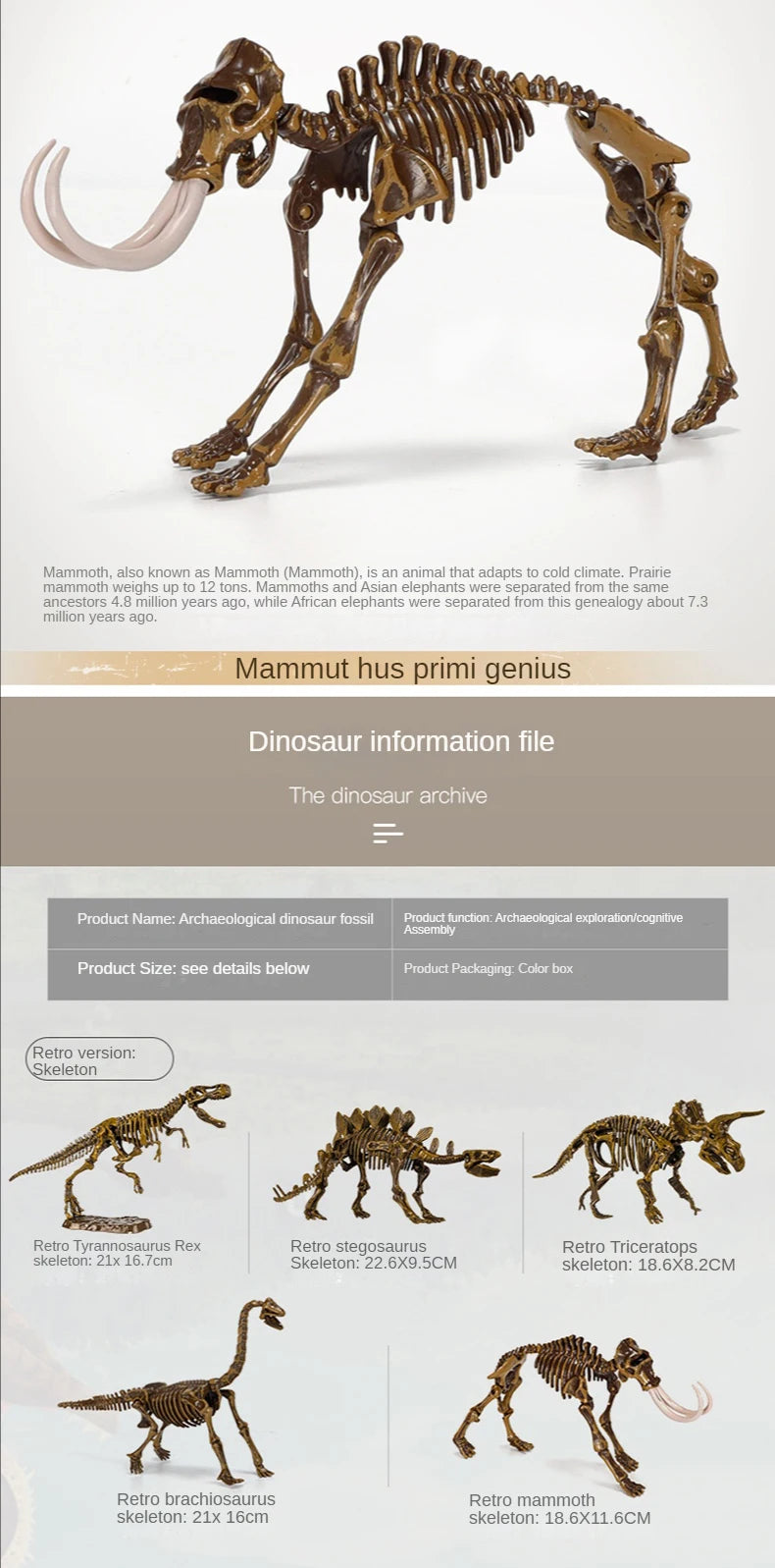 Dinosaur Fossil Excavation Kit