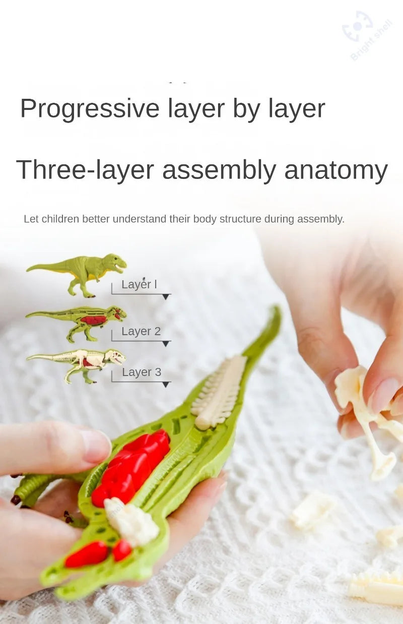 Dinosaur Fossil Excavation Kit