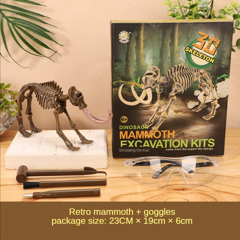 Dinosaur Fossil Excavation Kit