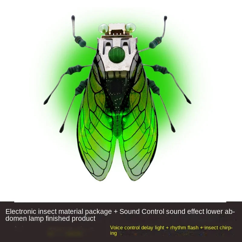 Robotic Insects STEM Kit