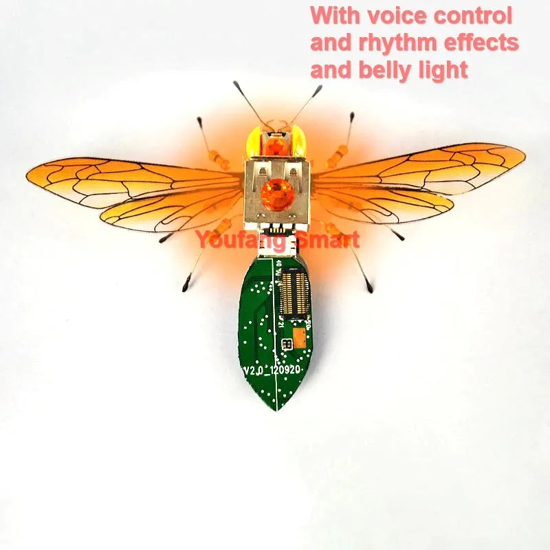 Robotic Insects STEM Kit