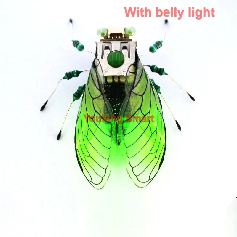 Robotic Insects STEM Kit