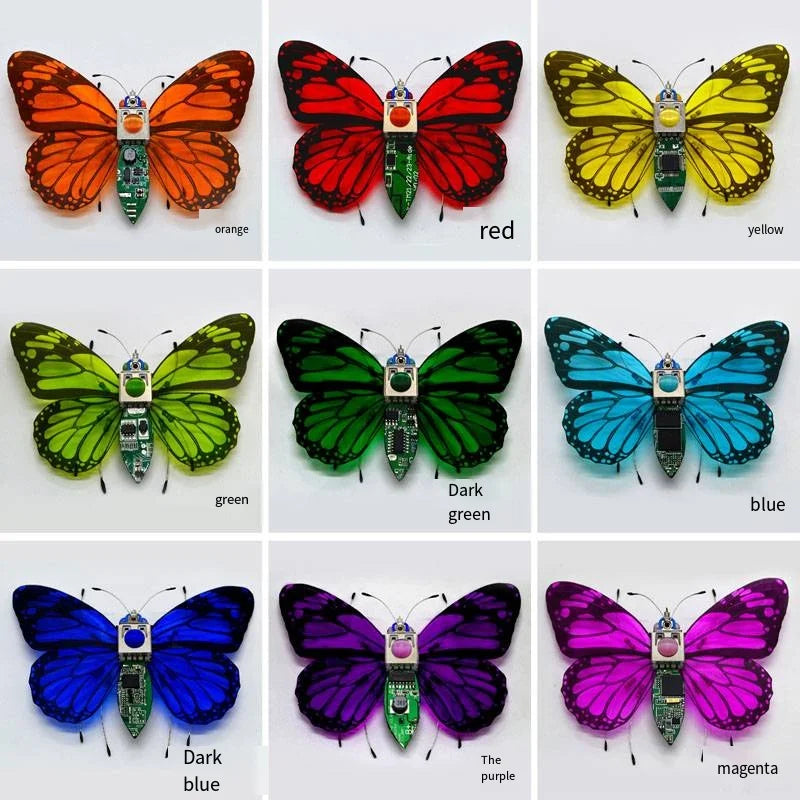 Robotic Insects STEM Kit