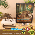 Dinosaur Fossil Excavation Kit