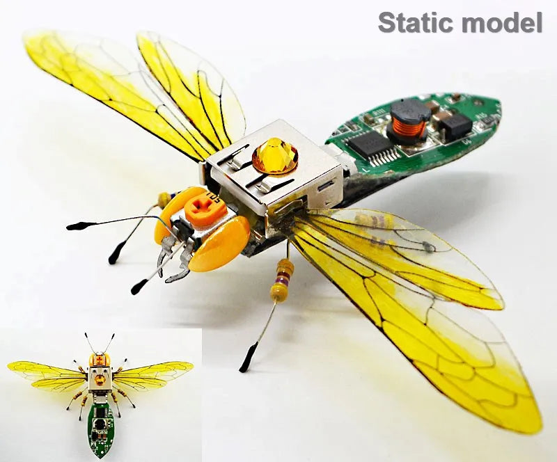 Robotic Insects STEM Kit