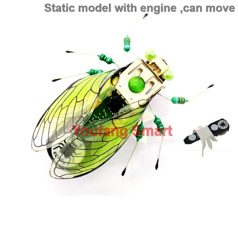 Robotic Insects STEM Kit