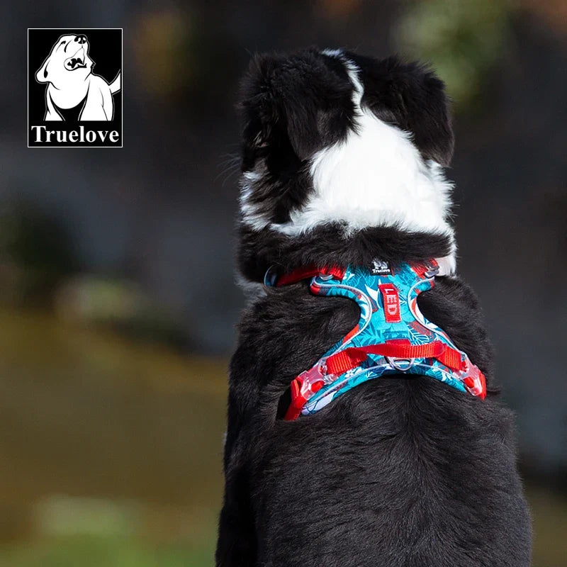 Adventurer No Pull Dog Harness Special Edition