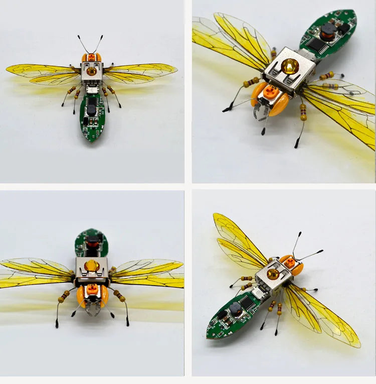 Robotic Insects STEM Kit