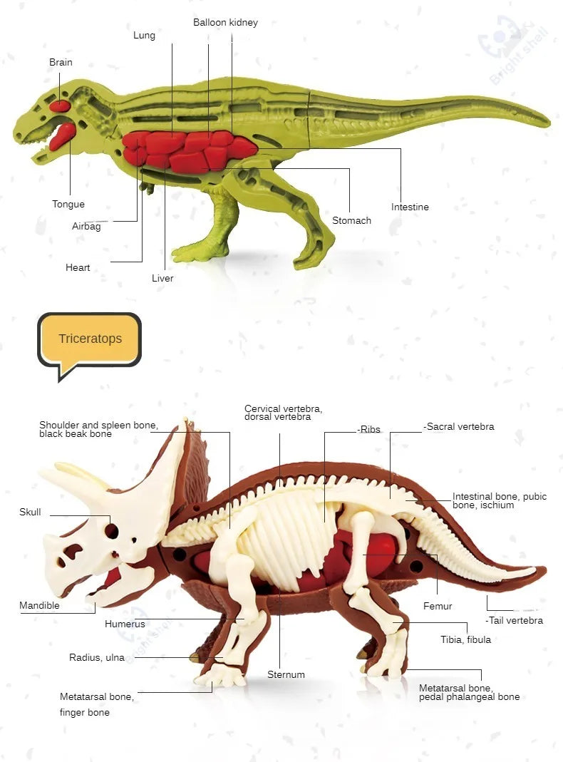 Dinosaur Fossil Excavation Kit