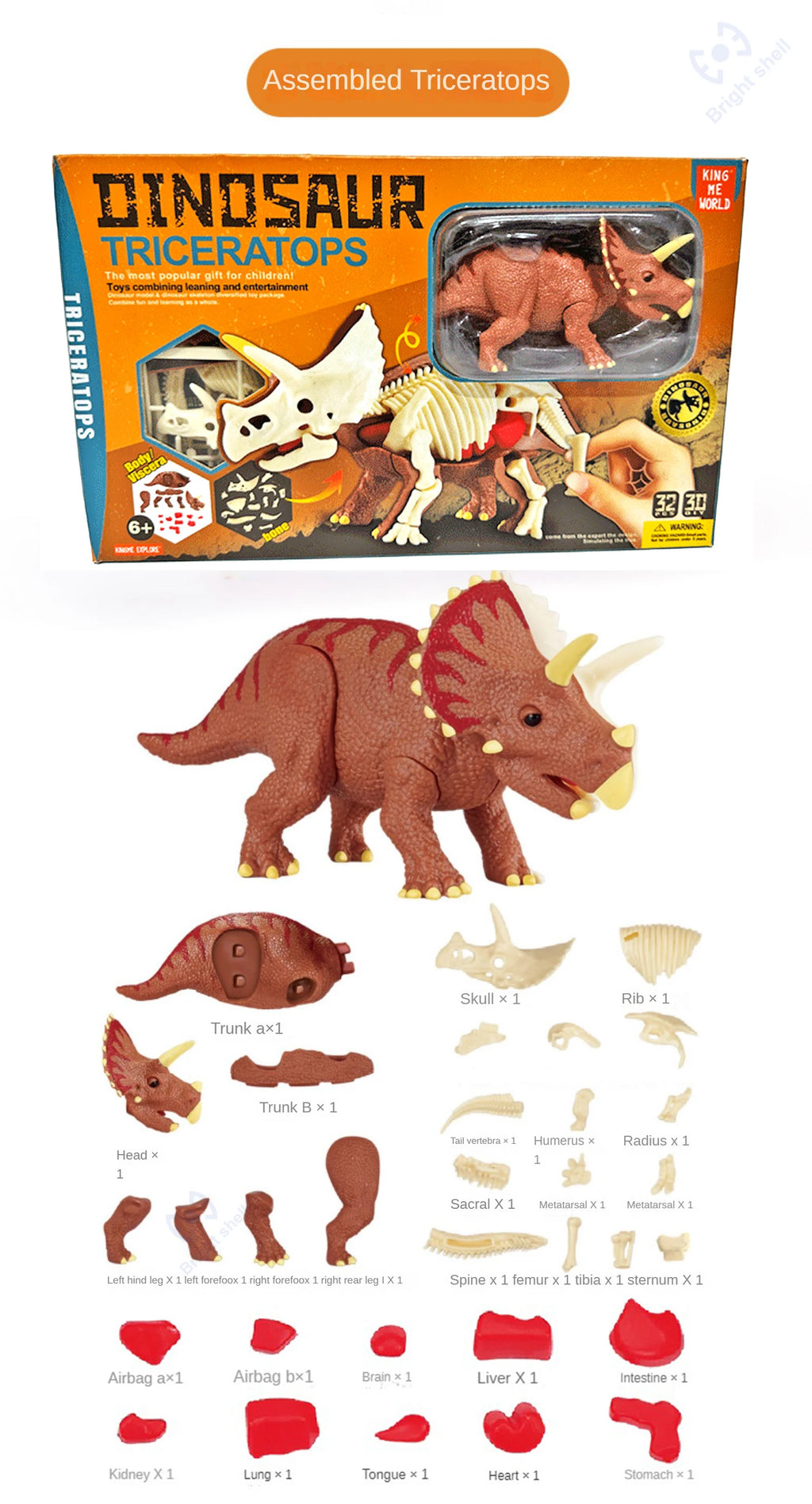 Dinosaur Fossil Excavation Kit