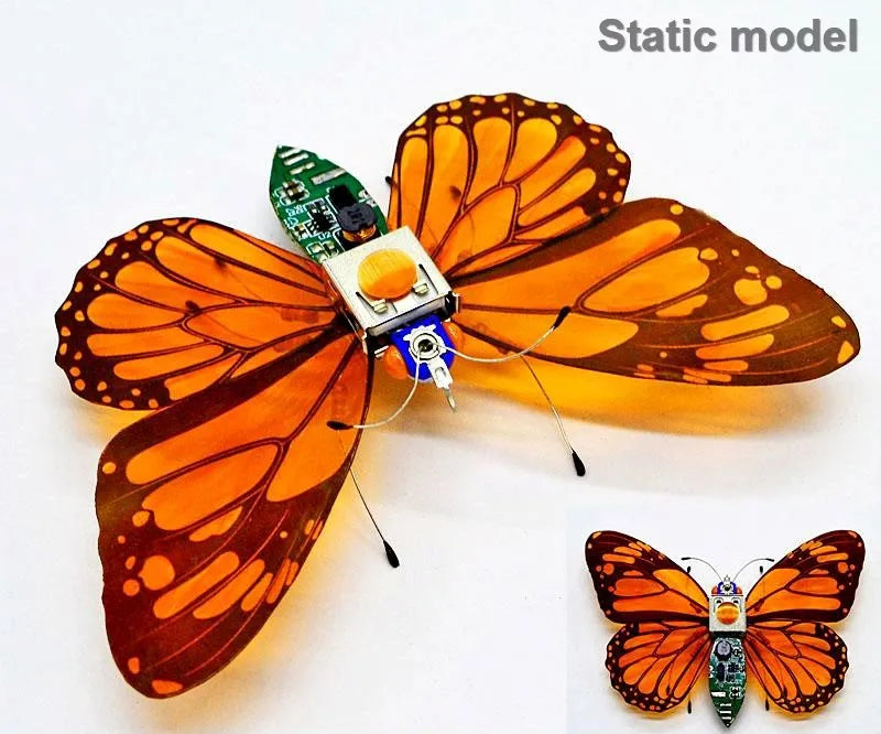 Robotic Insects STEM Kit