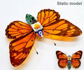 Robotic Insects STEM Kit