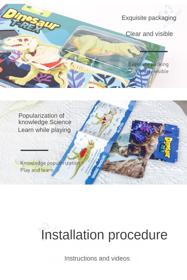 Dinosaur Fossil Excavation Kit