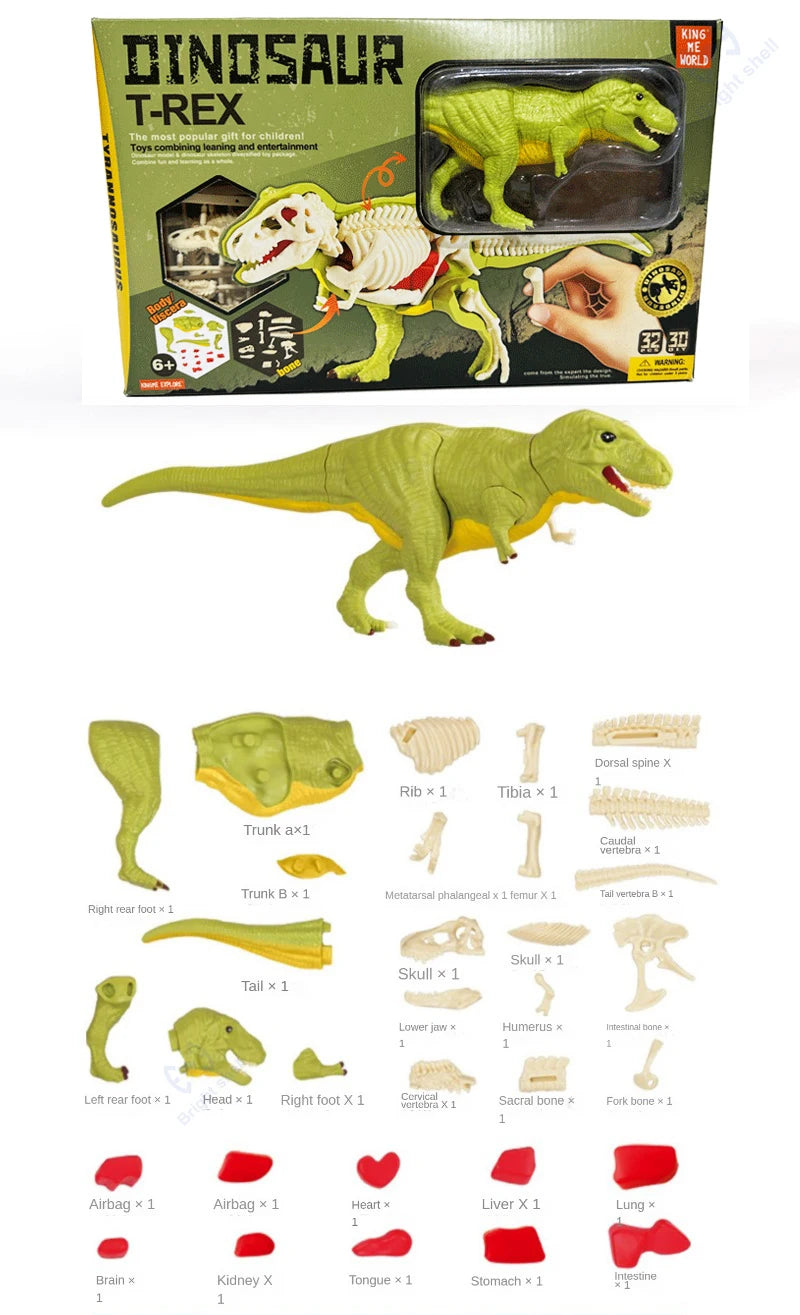 Dinosaur Fossil Excavation Kit