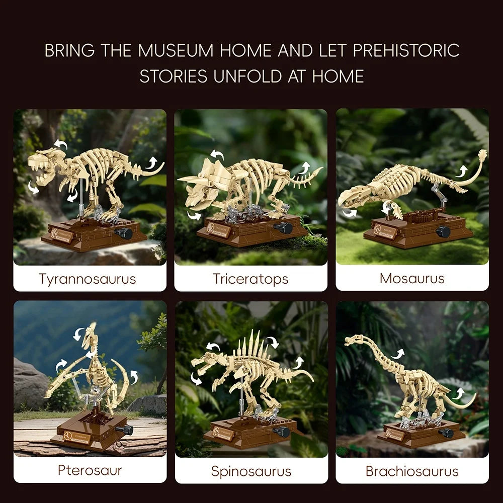 Pterosaur Fossil Building Blocks