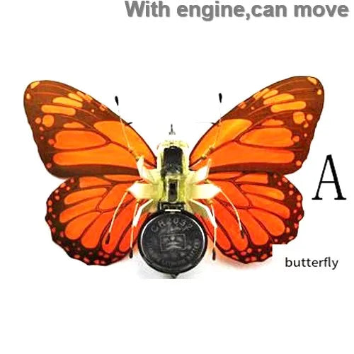 Robotic Insects STEM Kit