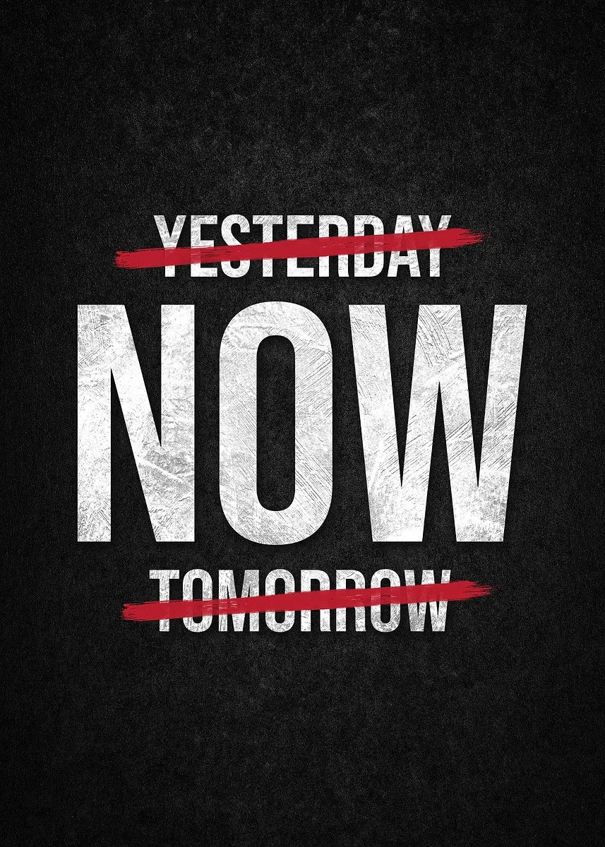 No Excuses Motivational Poster The Cost of Success Quote Canvas Painting Print Wall Art Picture for Living Room Home Decor