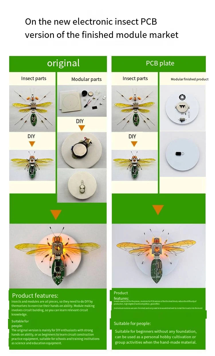 Robotic Insects STEM Kit