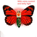 Robotic Insects STEM Kit