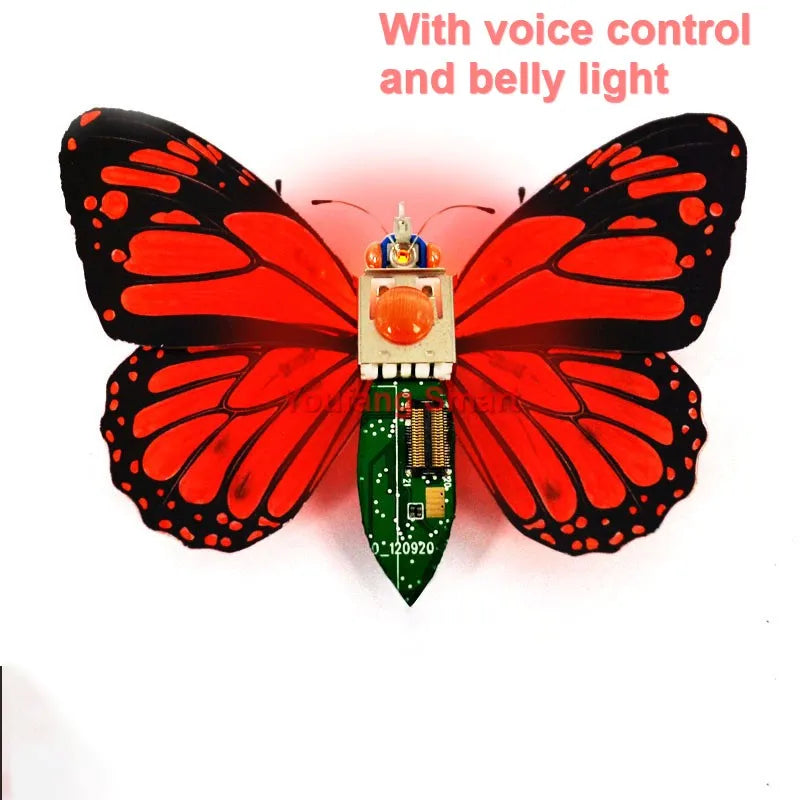 Robotic Insects STEM Kit