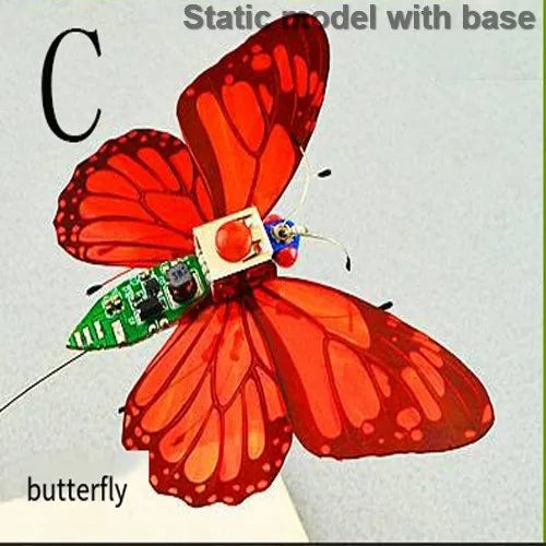 Robotic Insects STEM Kit