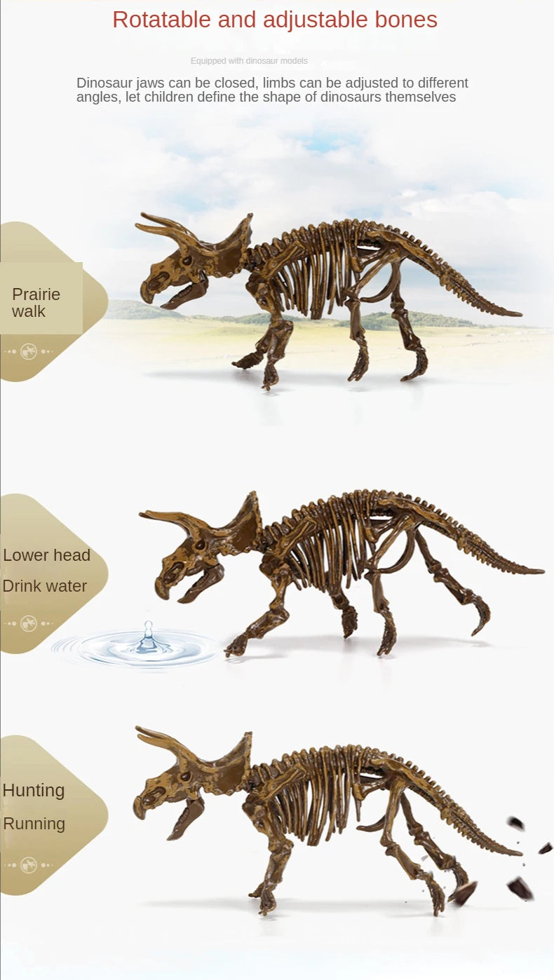 Dinosaur Fossil Excavation Kit