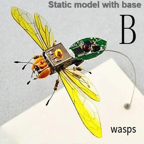 Robotic Insects STEM Kit