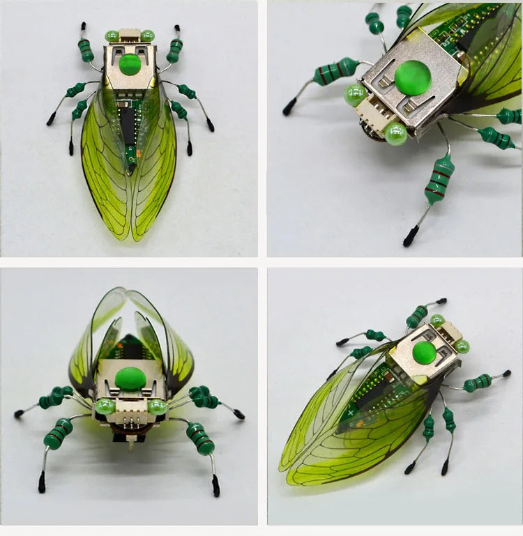Robotic Insects STEM Kit