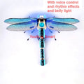 Robotic Insects STEM Kit