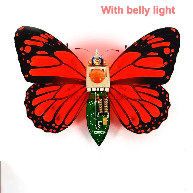 Robotic Insects STEM Kit