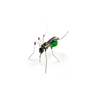 Robotic Insects STEM Kit
