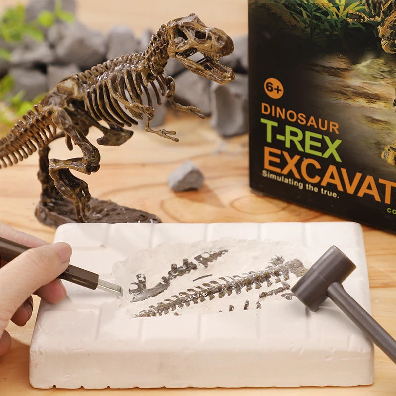 Dinosaur Fossil Excavation Kit
