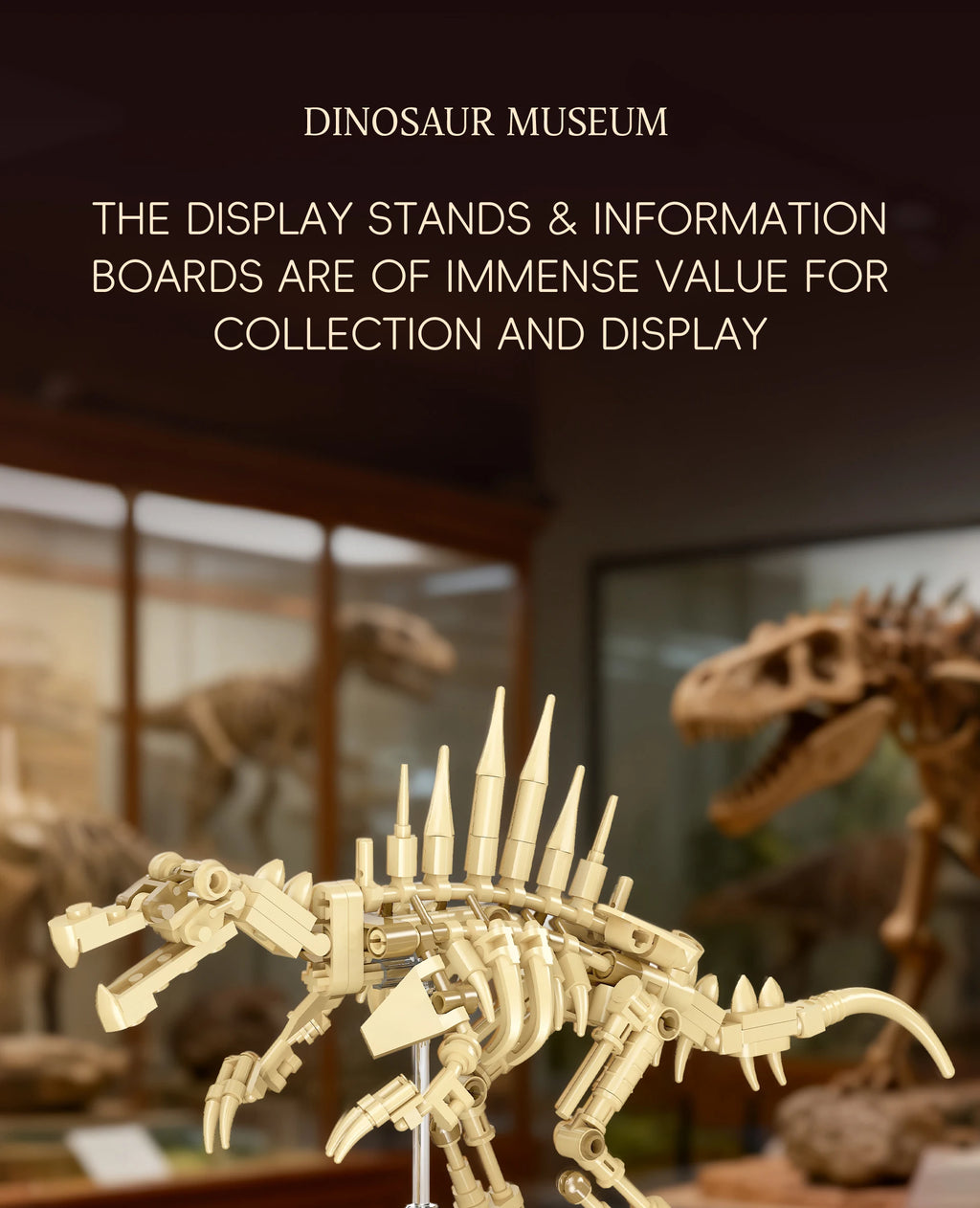 Pterosaur Fossil Building Blocks