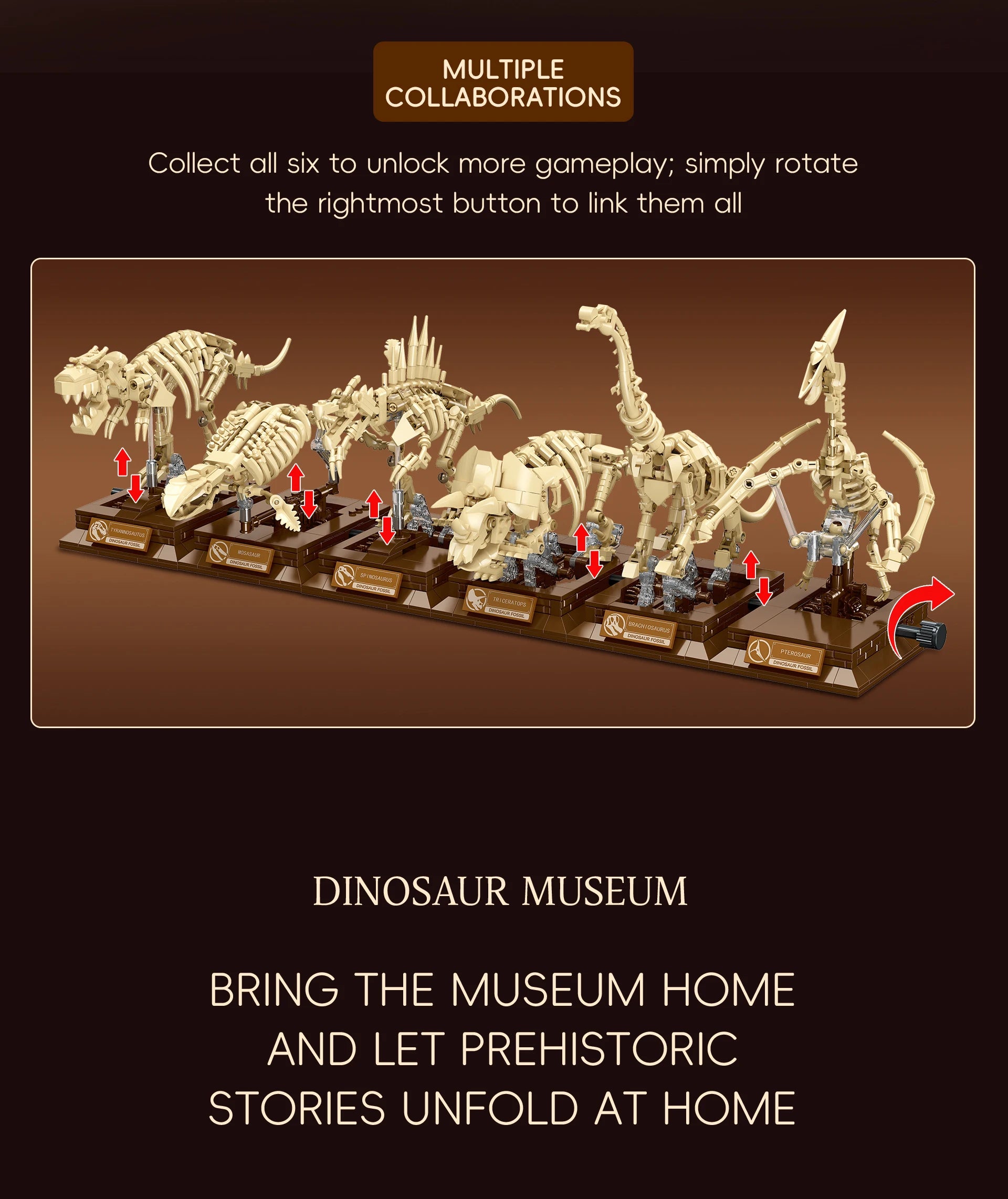 Pterosaur Fossil Building Blocks