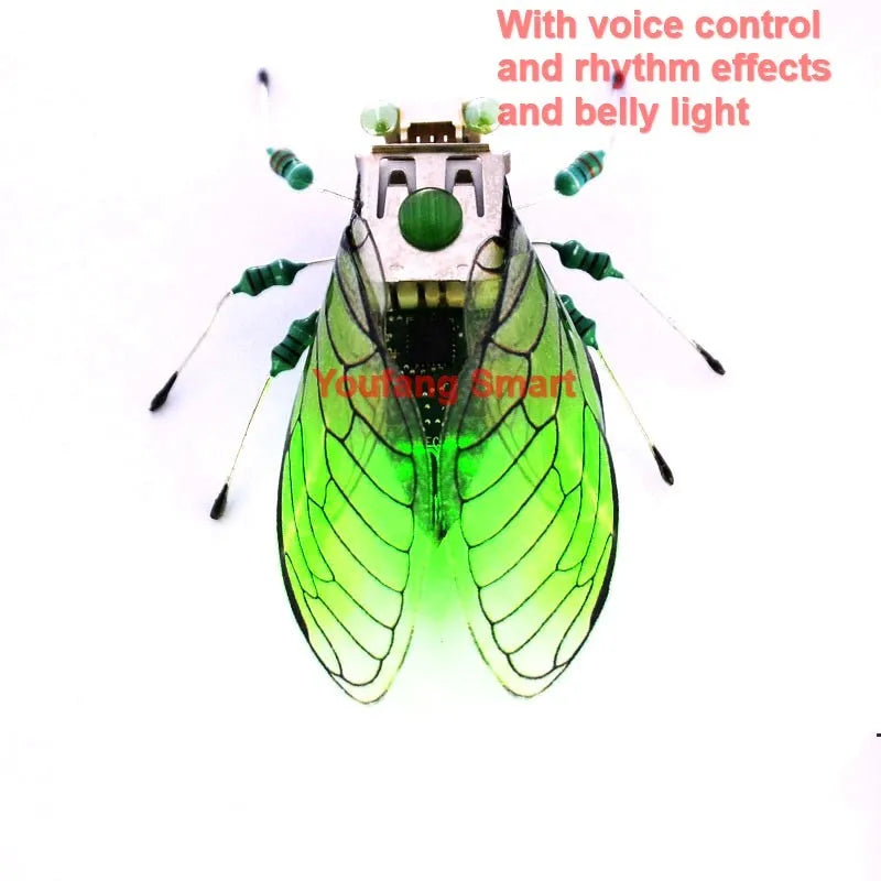 Robotic Insects STEM Kit