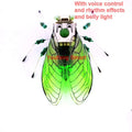 Robotic Insects STEM Kit