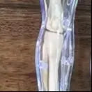 3D Human Skeleton Organ Anatomy Scientific Model Kit Kids Body Education Models Removable Simulation DIY Organ Assembly Model