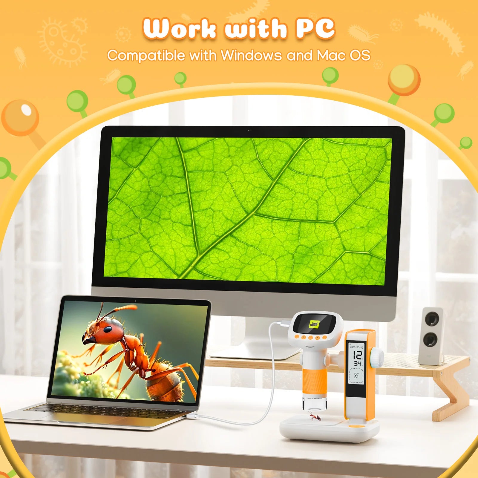 1000X Handheld Microscope