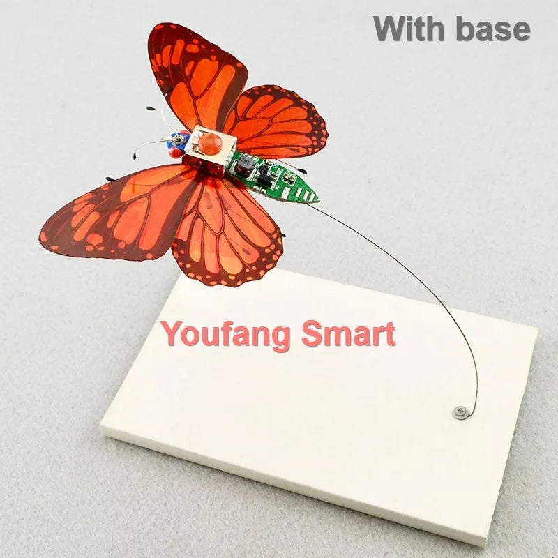 Robotic Insects STEM Kit
