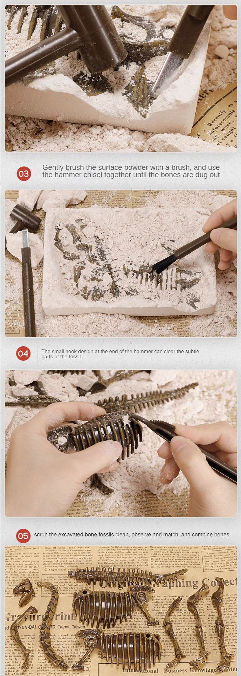 Dinosaur Fossil Excavation Kit
