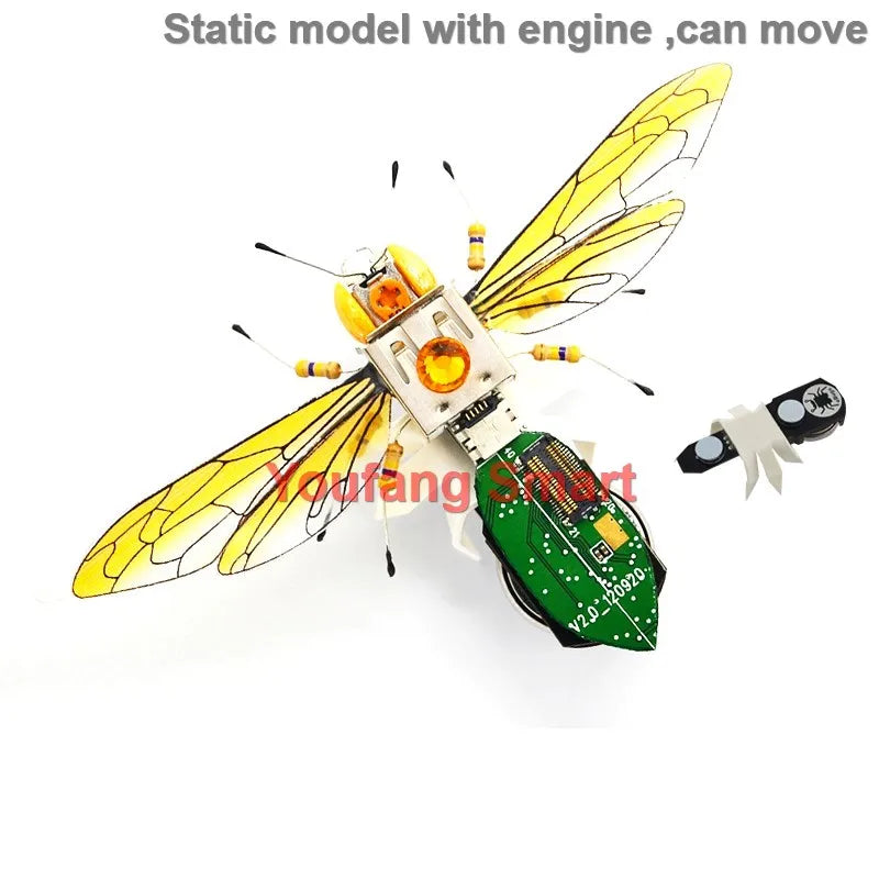 Robotic Insects STEM Kit