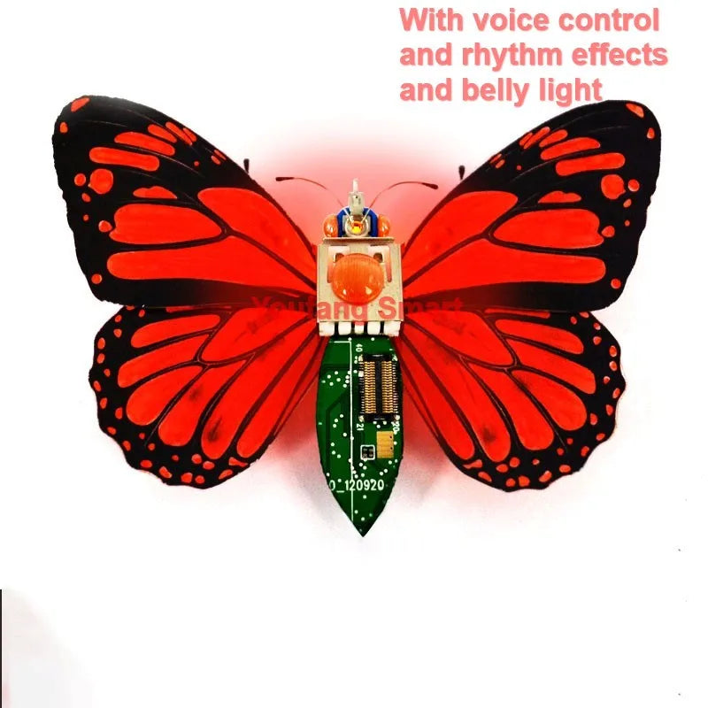 Robotic Insects STEM Kit